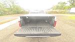 2024 Toyota Tundra CrewMax Cab 4x4 Pickup for sale #11345 - photo 3