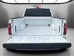 2024 Ford F-150 SuperCrew Cab 4WD Pickup for sale #11530 - photo 14
