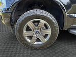 2020 Ford F-150 SuperCrew Cab 4x4 Pickup for sale #LKD06355 - photo 14
