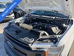 2020 Ford F-150 Regular Cab 4WD Pickup for sale #LKF20637 - photo 32