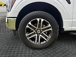 2023 Ford F-150 SuperCrew Cab 4WD Pickup for sale #PFA78515T - photo 16