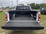 2023 Ford F-150 SuperCrew Cab 4WD Pickup for sale #PFA78515T - photo 20