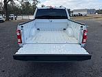 Used 2023 Ford F-150 XL SuperCrew Cab for sale #PFB66746T - photo 23