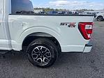 Used 2023 Ford F-150 XL SuperCrew Cab for sale #PFB66746T - photo 24