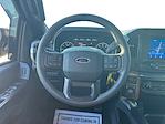2023 Ford F-150 SuperCrew Cab 4WD Pickup for sale #PFC21333T - photo 14