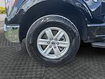 2023 Ford F-150 SuperCrew Cab 4WD Pickup for sale #PFC44272 - photo 16