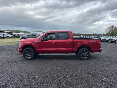 Used 2023 Ford F-150 - photo 1