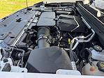 2024 Chevrolet Colorado Crew Cab 4x2 Pickup for sale #R1128676 - photo 22