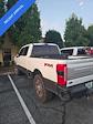 2024 Ford F-350 Crew Cab SRW 4x4 Pickup for sale #RED13116 - photo 14