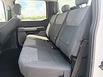 2024 Ford F-250 Crew Cab 4x4 Pickup for sale #REE01011 - photo 11