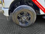 2024 Ford F-350 Crew Cab SRW 4x4 Pickup for sale #REE23603T - photo 14