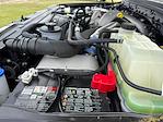 2024 Ford F-350 Crew Cab SRW 4x4 Pickup for sale #REF03941T - photo 22