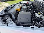 2024 Ford F-150 SuperCrew Cab 4x4 Pickup for sale #RFA72167T - photo 33