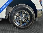 2024 Ford F-150 SuperCrew Cab 4WD Pickup for sale #RFA75783 - photo 14
