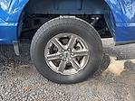 Used 2024 Ford F-150 XLT SuperCrew Cab for sale #RFA86017 - photo 13