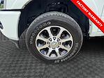 2024 Ram 3500 Mega Cab 4x4 Pickup for sale #RG351499 - photo 14