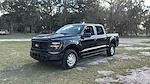 2024 Ford F-150 SuperCrew Cab 4x4 Pickup for sale #RKD70788 - photo 3