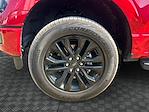 2024 Ford F-150 SuperCrew Cab 4x2 Pickup for sale #RKE78884T - photo 16
