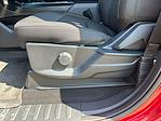 2024 Ford F-150 SuperCrew Cab 4x2 Pickup for sale #RKE78884T - photo 19