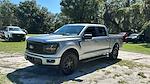 2024 Ford F-150 SuperCrew Cab 4x4 Pickup for sale #RKE89902 - photo 3