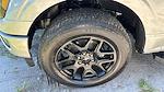2024 Ford F-150 SuperCrew Cab 4x4 Pickup for sale #RKE89902 - photo 31