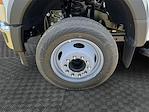 2025 Ford F-450 Crew Cab DRW 4x2 Cab Chassis for sale #SEC63288 - photo 14