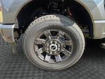 New 2025 Ford F-350 XL Crew Cab 4x4 SRW Pickup for sale #SEC91824 - photo 14