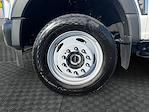 2025 Ford F-450 Crew Cab DRW 4WD Cab Chassis for sale #SED04997 - photo 17