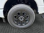 2025 Ford F-350 Crew Cab SRW 4x4 Pickup for sale #SED18712 - photo 14