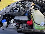 2025 Ford F-350 Crew Cab SRW 4x4 Pickup for sale #SED19147 - photo 28