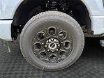 2025 Ford F-250 Crew Cab 4x4 Pickup for sale #SED20657 - photo 14