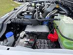 2025 Ford F-350 Crew Cab SRW 4x4 Pickup for sale #SED21527 - photo 28