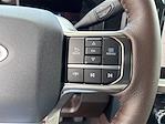 2025 Ford F-450 Crew Cab DRW 4x4 Pickup for sale #SED39770 - photo 19