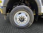 2025 Ford F-550 Crew Cab DRW 4x4 Cab Chassis for sale #SED41343 - photo 13