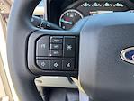 2025 Ford F-550 Crew Cab DRW 4x4 Cab Chassis for sale #SED41343 - photo 18