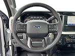 2025 Ford F-250 Regular Cab 4x4 Pickup for sale #SED41780 - photo 12