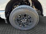 2025 Ford F-250 Crew Cab 4x4 Pickup for sale #SED79785 - photo 17