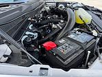 2025 Ford F-150 SuperCrew Cab 4x4 Pickup for sale #SFA34724 - photo 33