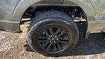2025 Ford F-150 SuperCrew Cab 4x4 Pickup for sale #SFA77636 - photo 7