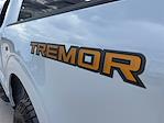 2025 Ford F-150 SuperCrew Cab 4x4 Pickup for sale #SFA96441 - photo 15