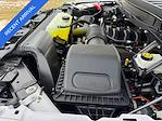 2025 Ford F-150 SuperCrew Cab 4WD Pickup for sale #SFA96441T - photo 28