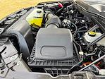 2025 Ford F-150 SuperCrew Cab 4x2 Pickup for sale #SFB05285 - photo 20