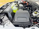 2025 Ford F-150 SuperCrew Cab 4x4 Pickup for sale #SFB05743 - photo 20