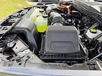 2025 Ford F-150 SuperCrew Cab 4x4 Pickup for sale #SFB08401 - photo 26