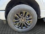 2025 Ford F-150 SuperCrew Cab 4x4 Pickup for sale #SFB08889 - photo 14