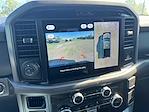 New 2025 Ford F-150 XLT SuperCrew Cab 4WD Pickup for sale #SFB25858 - photo 29