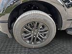 2025 Ford F-150 SuperCrew Cab 4x4 Pickup for sale #SFB28475 - photo 14