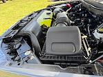 2025 Ford F-150 SuperCrew Cab 4x4 Pickup for sale #SFB60250 - photo 33