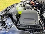 2025 Ford F-150 SuperCrew Cab 4x4 Pickup for sale #SFB65690 - photo 35