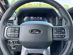 2025 Ford F-150 SuperCrew Cab 4x4 Pickup for sale #SFB65813 - photo 22